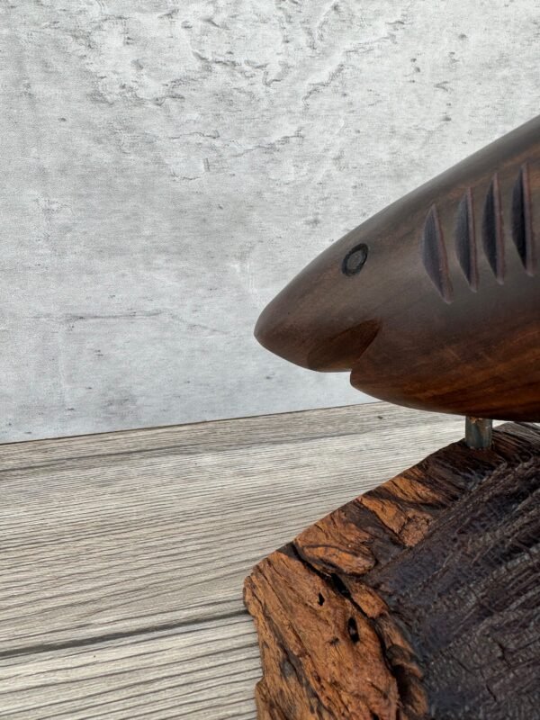 Large Ironwood Shark Handcarfted Sculpture   From Desert Sonora Mexico Palo Fierro Carved Vintage And Rustic  Home Decor - Image 4