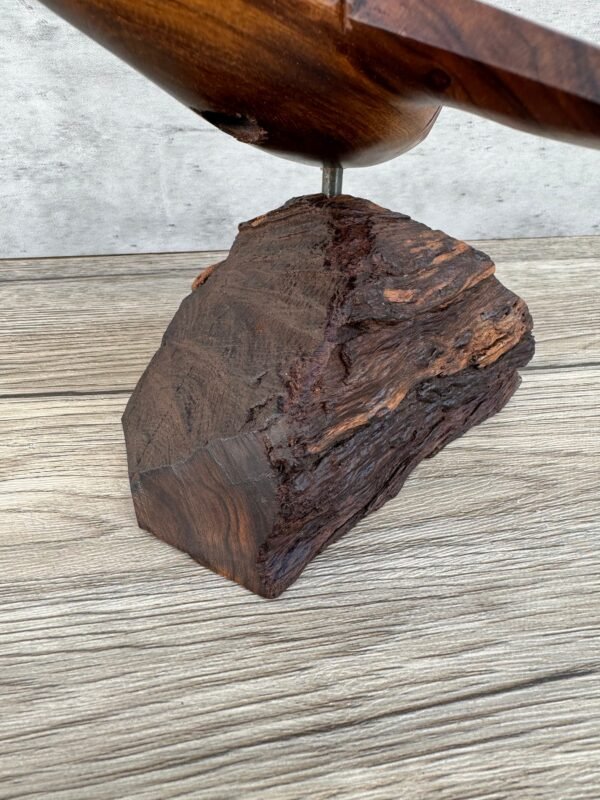 Large Ironwood Shark Handcarfted Sculpture   From Desert Sonora Mexico Palo Fierro Carved Vintage And Rustic  Home Decor - Image 5