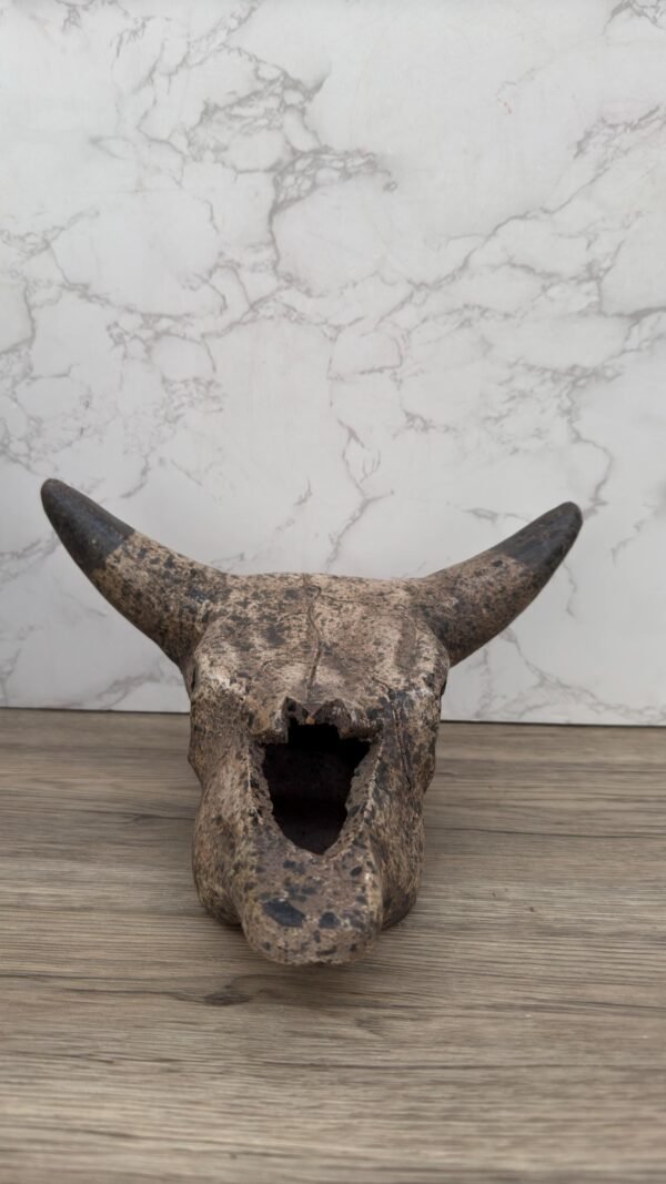 Rustic bull skull wall decor, handmade ceramic cow skull, Mexican clay wall art, vintage cattle skull sculpture, western farmhouse accent - Image 4