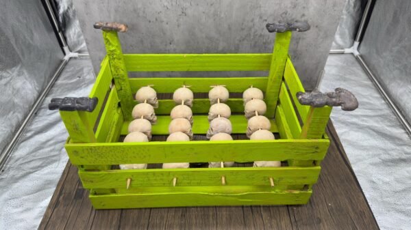 Tzompantli Skull Display, Mexican Folk Art Sculpture, Handmade Ritual Altar, Aztec-Inspired Ceremonial Piece, Prehispanic Skull Rack - Image 9