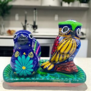 Salt And Pepper Shakers With Tray Made Of Clay Hand Painted Guerrero, Culture Of Mexico Salt And Pepper Set Lead Free Acrylic Paint