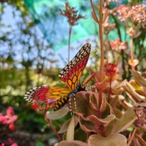 Butterflie Figurine Statue Oaxaca Mexican Folk Art Alebrije Sculpture, Wooden As Mexican Decoration, Made Of Wood And Carved By Hand