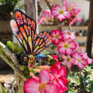 Butterflie Figurine Statue Oaxaca Mexican Folk Art Alebrije Sculpture, Wooden As Mexican Decoration, Made Of Wood And Carved By Hand