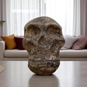 Clay Skull, Mexican Folk Art from Metepec, Rustic Terracotta Calavera, Pre-Hispanic Inspired Skull, Artisan Home Decor Day Of The Dead