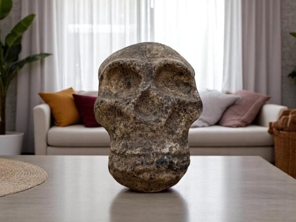 Clay Skull, Mexican Folk Art from Metepec, Rustic Terracotta Calavera, Pre-Hispanic Inspired Skull, Artisan Home Decor Day Of The Dead
