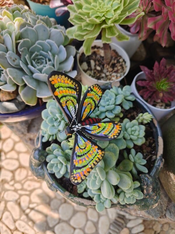 Butterflie Figurine Statue Oaxaca Mexican Folk Art Alebrije Sculpture, Wooden As Mexican Decoration, Made Of Wood And Carved By Hand - Image 3