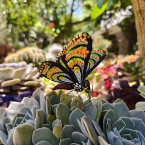 Butterflie Figurine Statue Oaxaca Mexican Folk Art Alebrije Sculpture, Wooden As Mexican Decoration, Made Of Wood And Carved By Hand