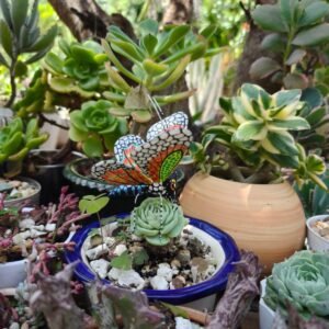 Butterflie Figurine Statue Oaxaca Mexican Folk Art Alebrije Sculpture, Wooden As Mexican Decoration, Made Of Wood And Carved By Hand