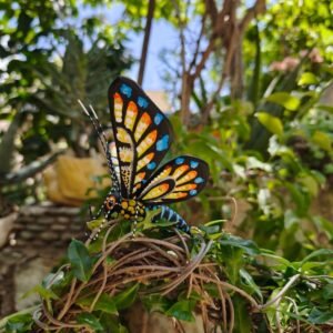 Butterflie Figurine Statue Oaxaca Mexican Folk Art Alebrije Sculpture, Wooden As Mexican Decoration, Made Of Wood And Carved By Hand
