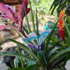 Butterflie Figurine Statue Oaxaca Mexican Folk Art Alebrije Sculpture, Wooden As Mexican Decoration, Made Of Wood And Carved By Hand