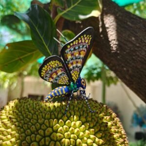 Butterflie Figurine Statue Oaxaca Mexican Folk Art Alebrije Sculpture, Wooden As Mexican Decoration, Made Of Wood And Carved By Hand