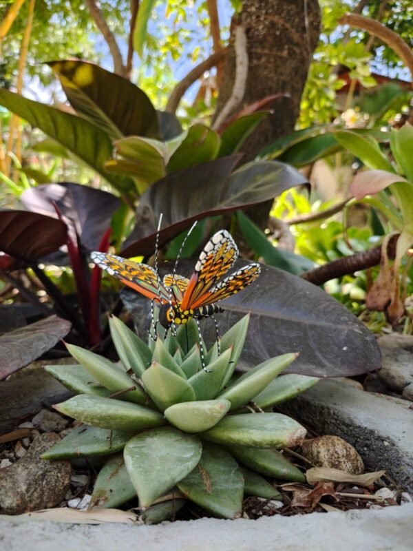Butterflie Figurine Statue Oaxaca Mexican Folk Art Alebrije Sculpture, Wooden As Mexican Decoration, Made Of Wood And Carved By Hand - Image 2