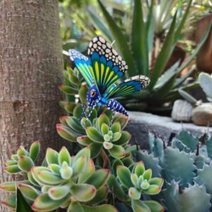 Butterflie Figurine Statue Oaxaca Mexican Folk Art Alebrije Sculpture, Wooden As Mexican Decoration, Made Of Wood And Carved By Hand